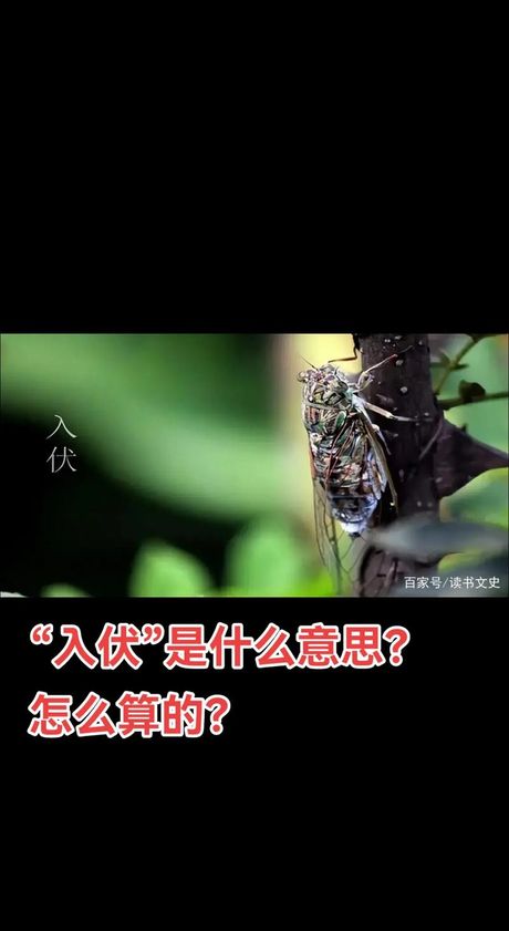 入伏是什么意思？