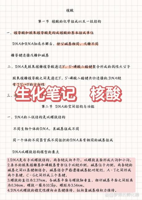 核酸分子杂交，怎样进行高质量的核酸分子杂交实验