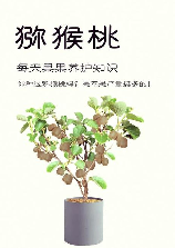 猕猴桃树，猕猴桃树的种植技巧和养护建议